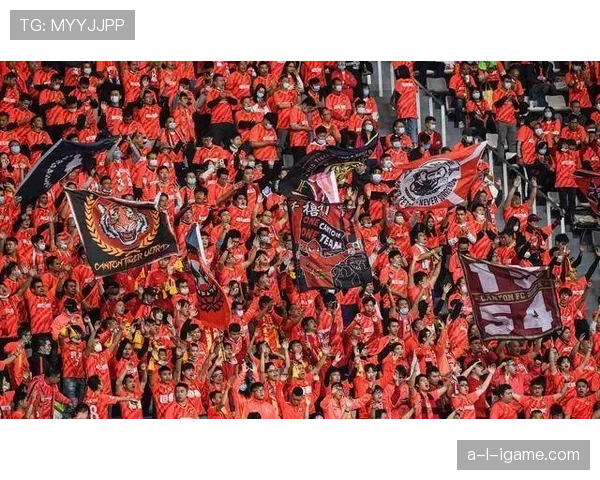 凯泽阵容深度解析：新赛季实力稳步提升，冲击更高目标