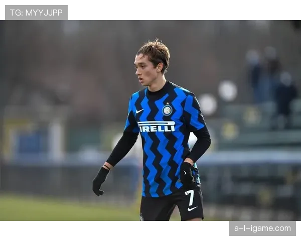 雷吉纳防守体系持续升级,球队重塑铁血防线引关注