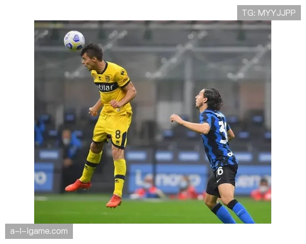 意甲联赛争议事件最新情况